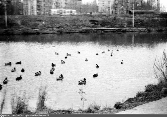 Солнцевский пруд, Боровское шоссе