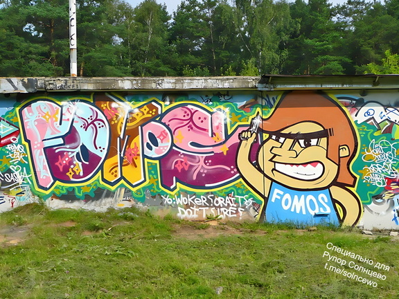 Граффити в Солнцево на гаражах вдоль железной дорогт между станциями Солнечная и Востряково 2008 год